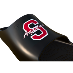 Scarlet Aquatics Swim Team Lane 4 Slide