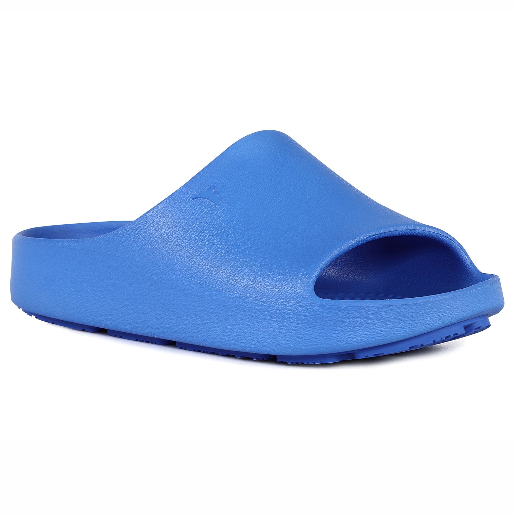 BRIGHT BLUE/BLUE LANE-4 KIDS SLIDE