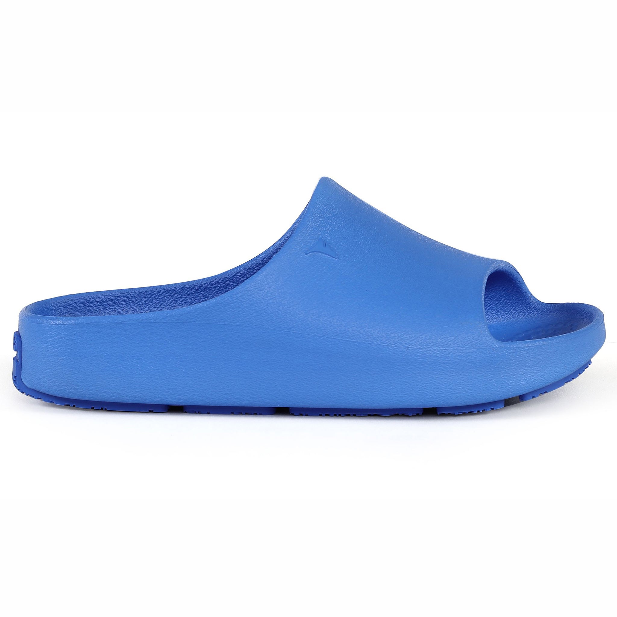 BRIGHT BLUE/BLUE LANE-4 KIDS SLIDE