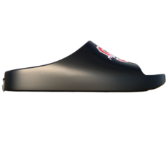 Scarlet Aquatics Swim Team Lane 4 Slide